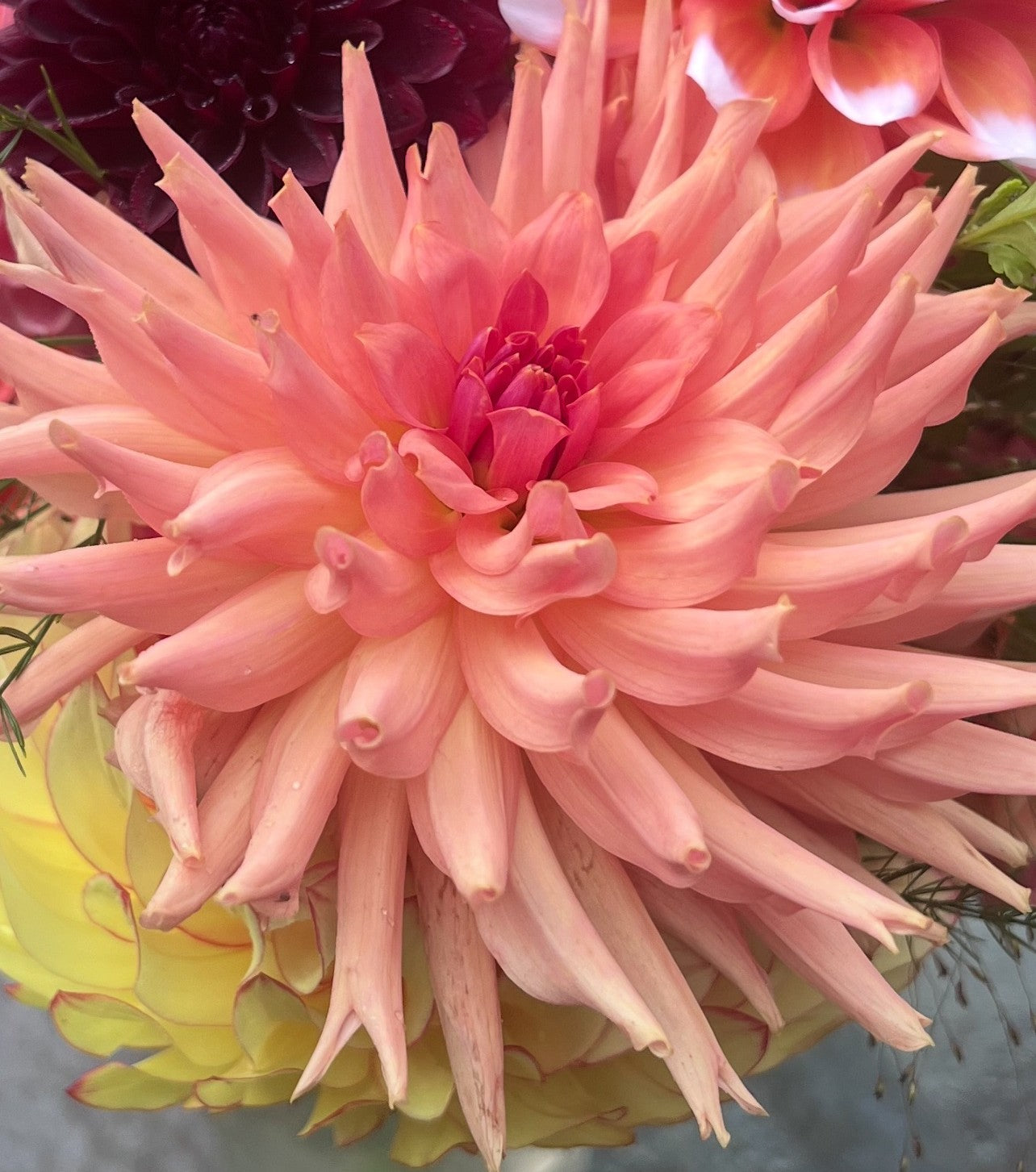 Terracotta – Hatch & Bloom Farm